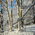 Дом отдыха Auszeyt Edersee Fuer Vier *